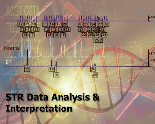 CSI: STR Analysis