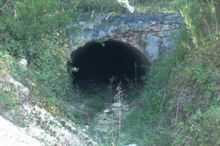 [13-12-2009+(17).JPG]