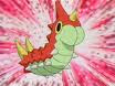 Wurmple