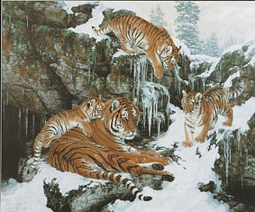 [HoseltonWWF]