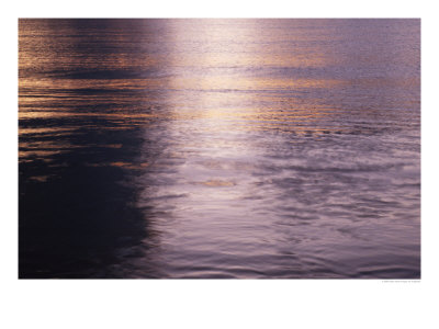[Calm1]