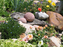 The Rock Garden