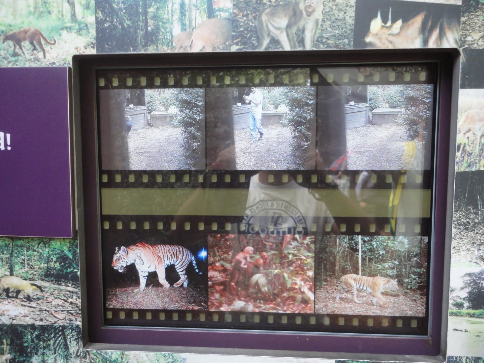 ZoolÃ³gico de NY | Dicas de NY