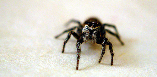 The Presurfer: 10 Well Known People And Their Phobias