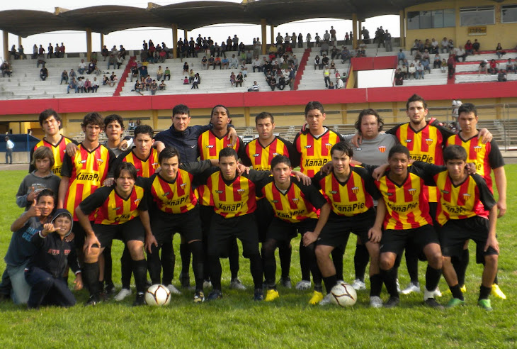 primera 2010