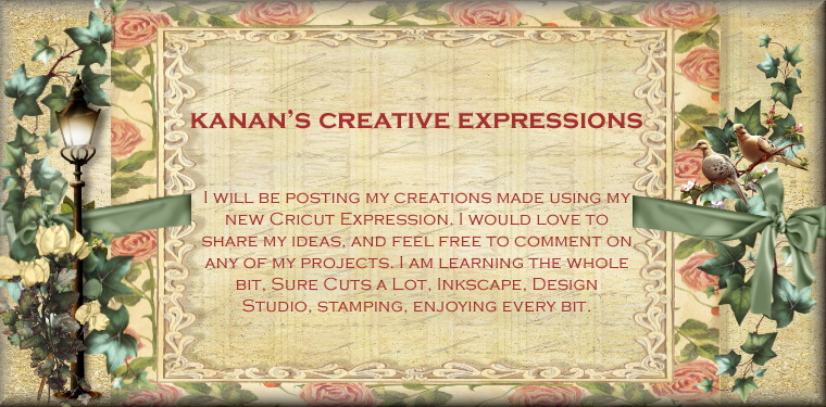 Kanan's Creative Expressions