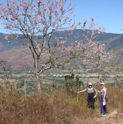 caminando por Aguirre