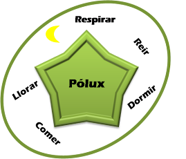 The first five pointed star