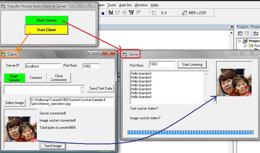 Transfer Picture from Client to Server (VB6)