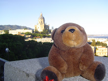 Teddy bear in Sicily