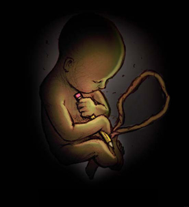 [baby-in-womb[1].jpg]