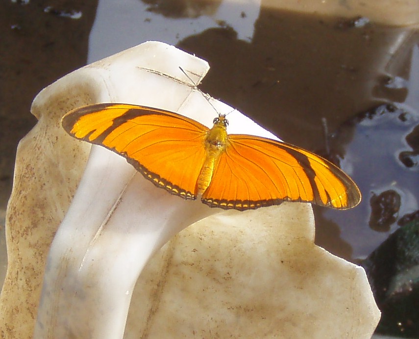 [P7130168.JPG]