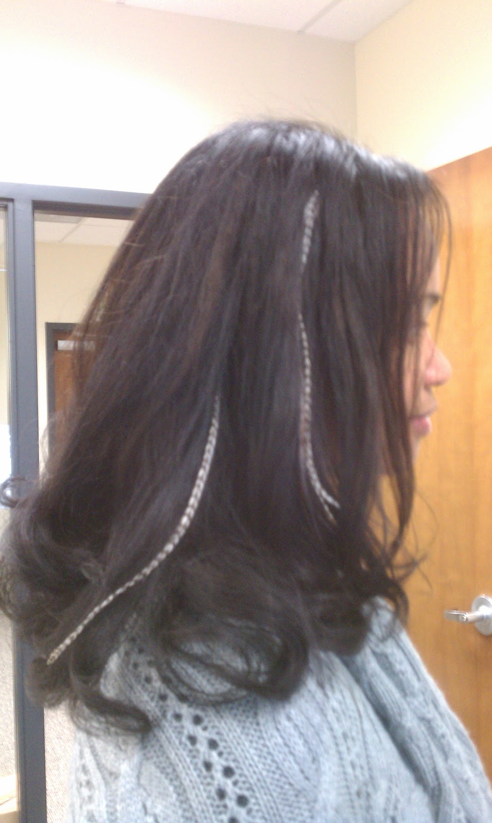 B.N.I.O. Fitness Blog. Beautiful, Naturally... Inside and Out... Feather Hair Extensions by