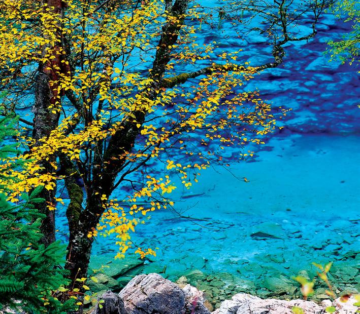 [jiuzhaigou+01.jpg]