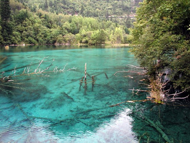[jiuzhaigou+13.jpg]