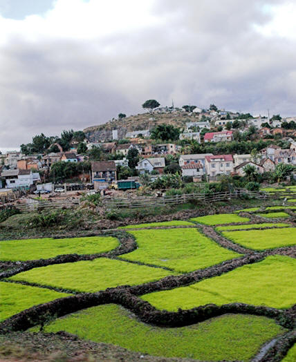 [antananarivo+02.jpg]