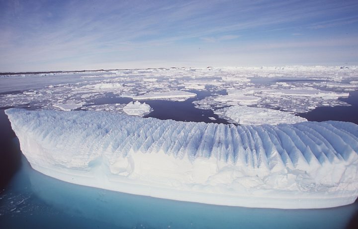 [Antártica+16.jpg]