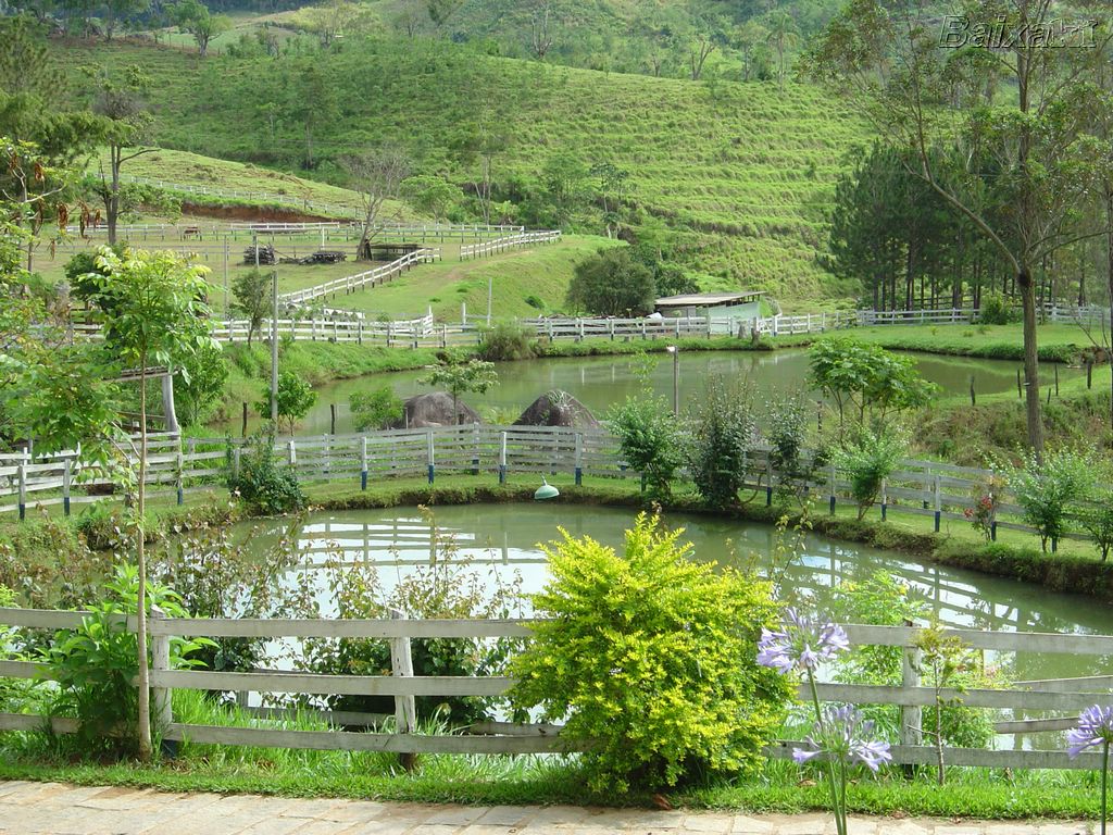 [Nova+Friburgo+01.jpg]