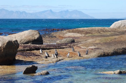 [Cabo+da+boa+esperança+03.jpg]