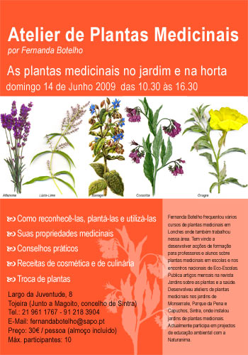 [AtelierPlantas-junho-web-20.jpg]
