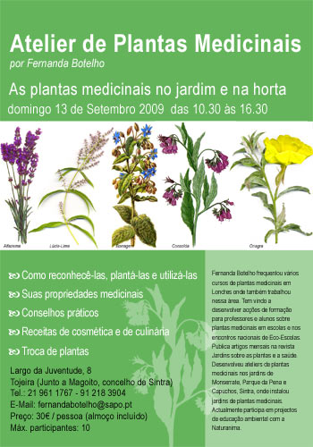 [AtelierPlantas-2009-09.jpg]