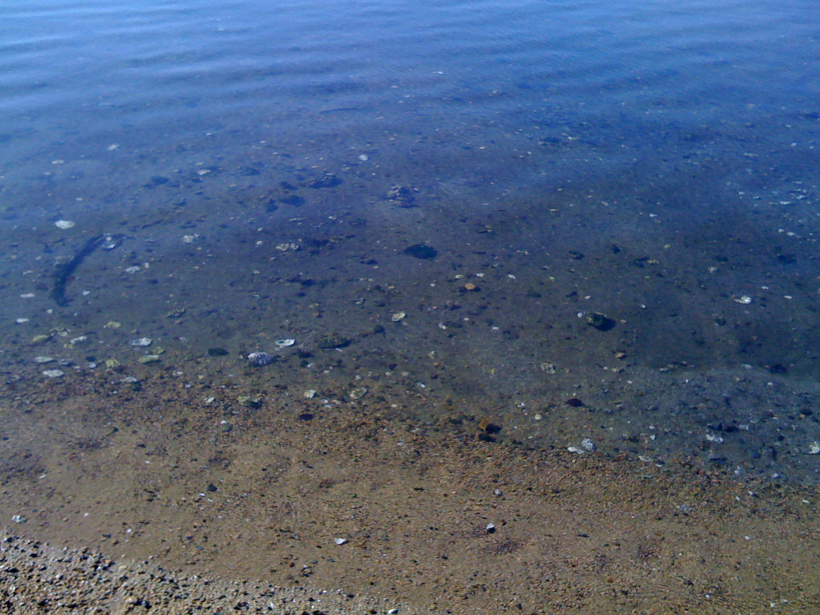 [IMG_0052.JPG]