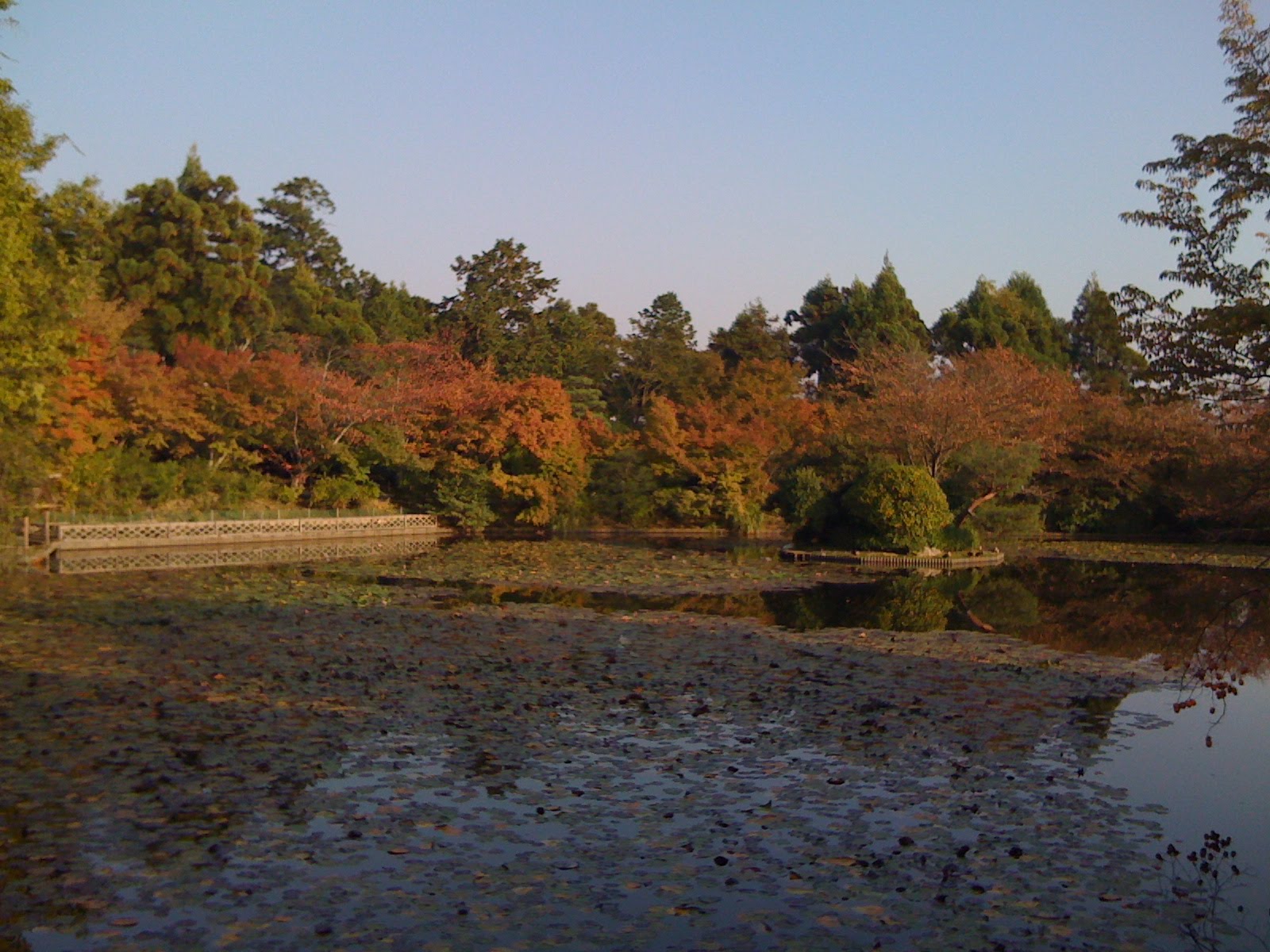 [IMG_0376.JPG]