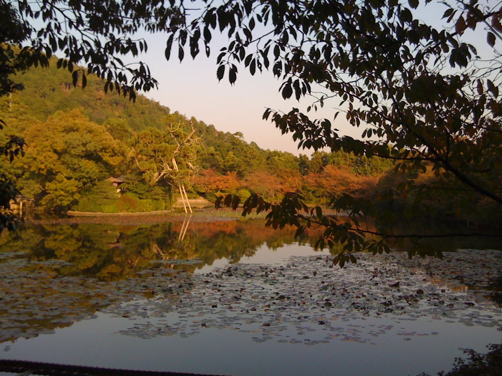 [IMG_0380.JPG]