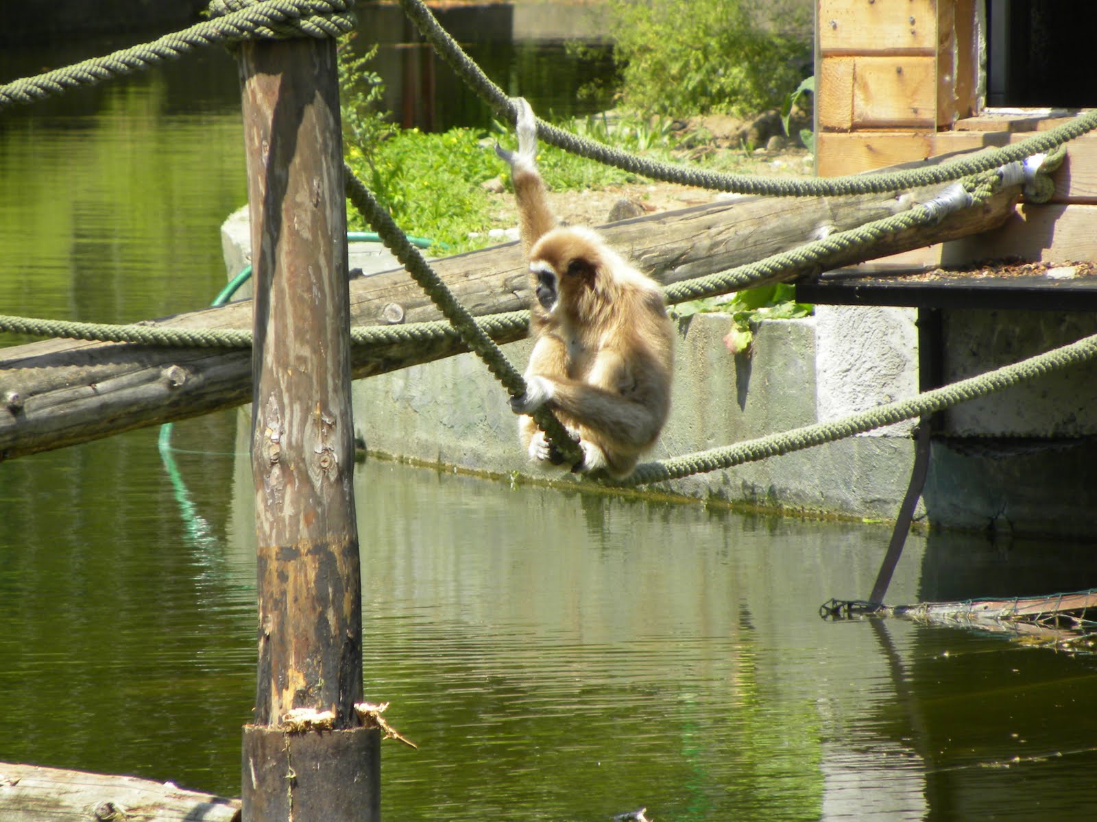 Quest Macedonia blog Zoo Skopje
