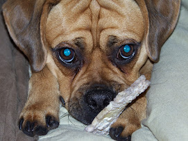 My dog Tyson!!!