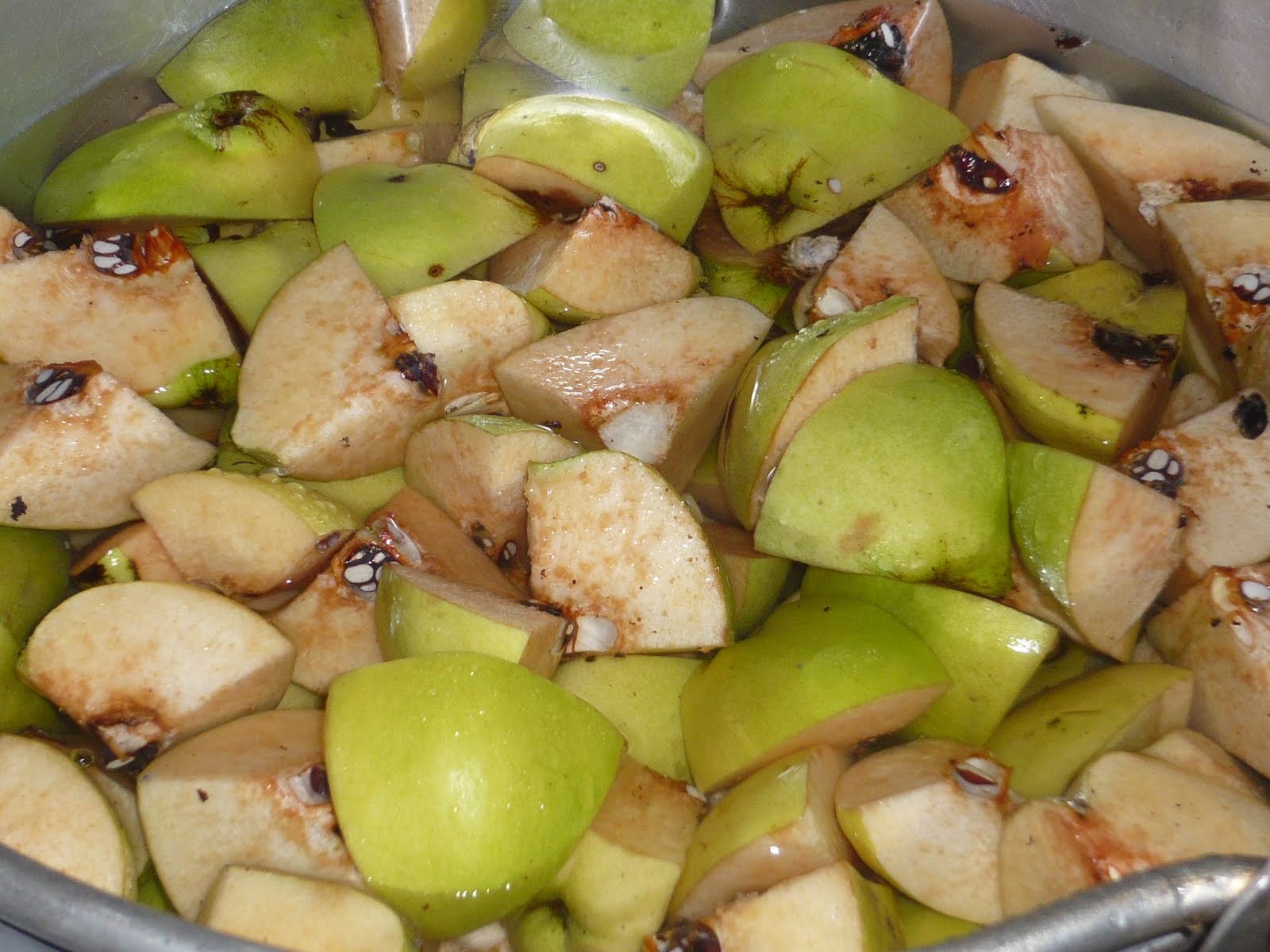 portugal permaculture Quince Jelly