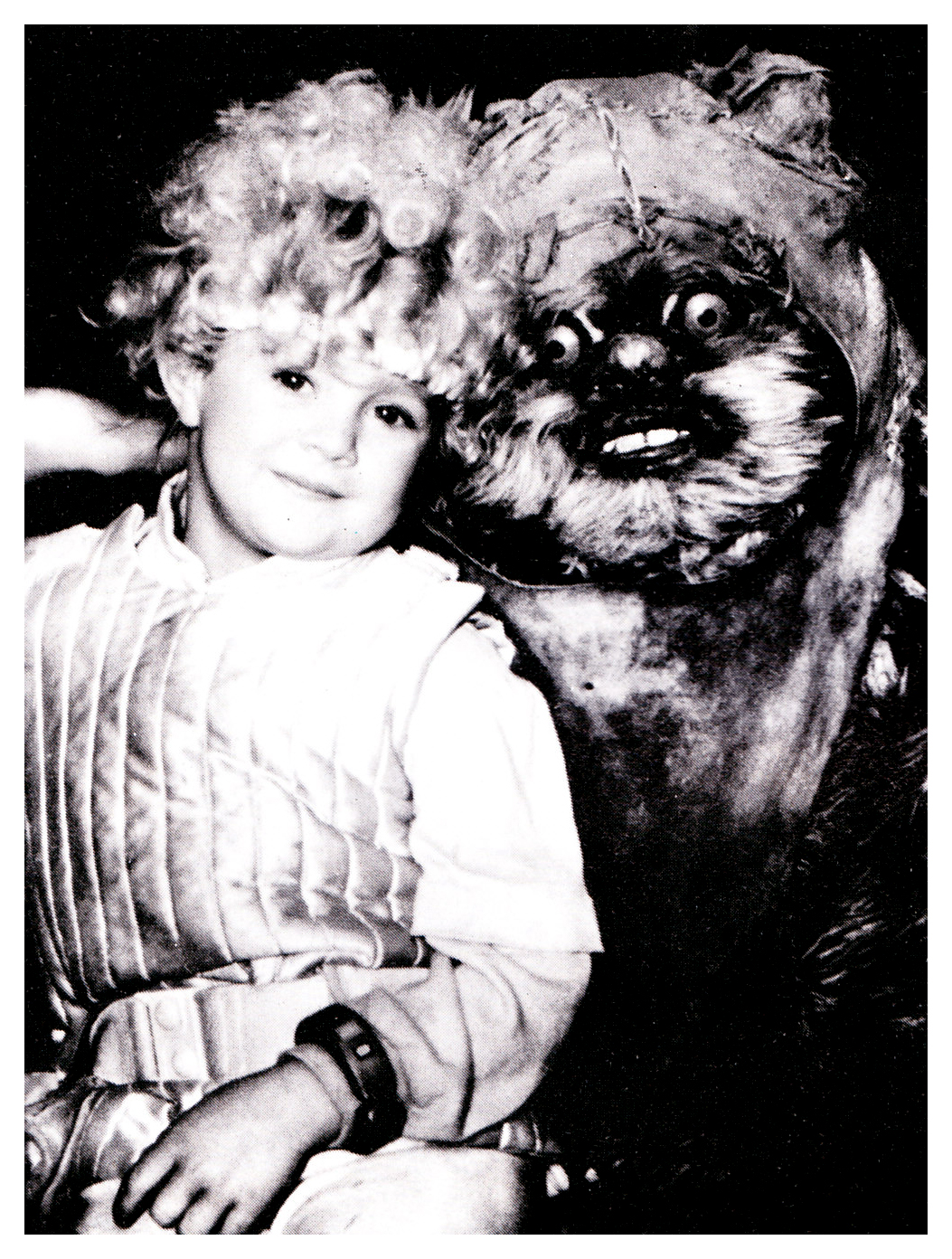 BACK TO THE MOVIE POSTERS: L'aventure des Ewoks