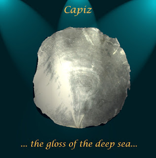 kapis atbp: What is Capis Shell?