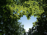 Frase e Mensagem de Amor