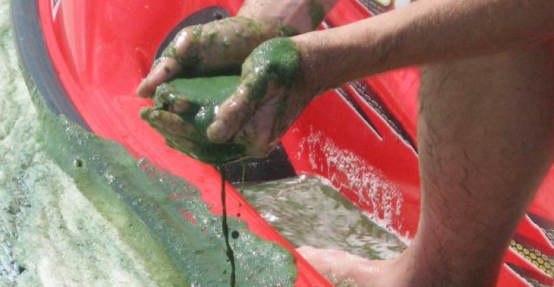 Inside Edge February 2019