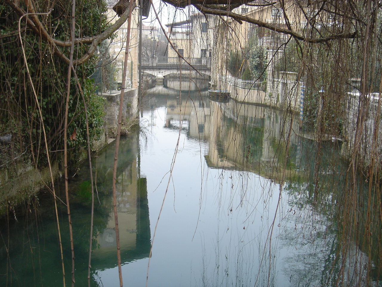 [DSC09688.JPG]