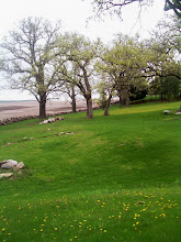 A stroll at The Hart Farm and Retreat