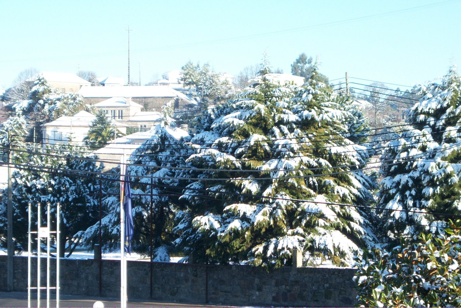 [100_0502.JPG]