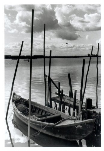 [BarcoAvieiros.jpg]