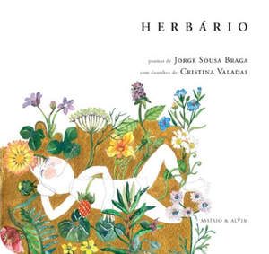 [jorge_sousa_braga-herbario.jpg]