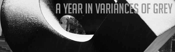a year in variances of grey