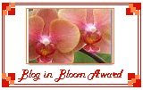 Blog in Bloom Award