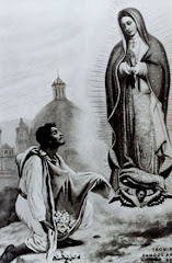 Juan Diego and The Virgin