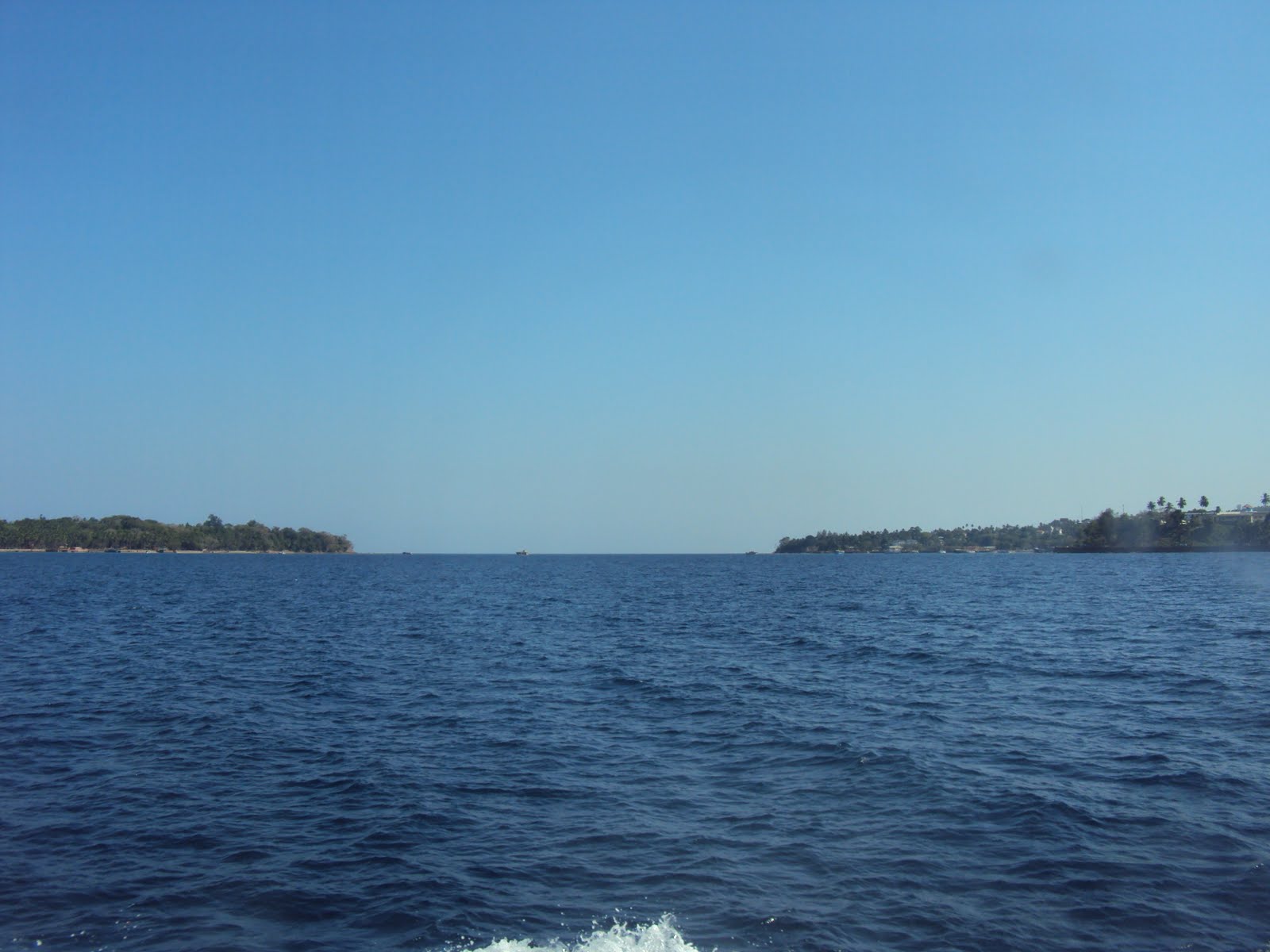 [DSC00144.JPG]