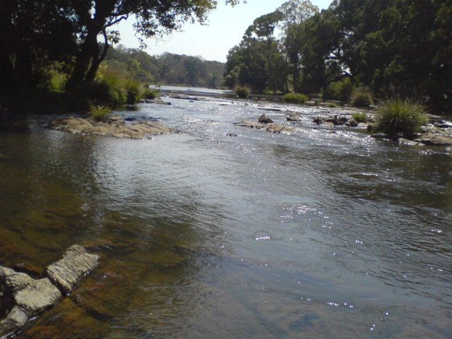 [kaveri+river.jpg]