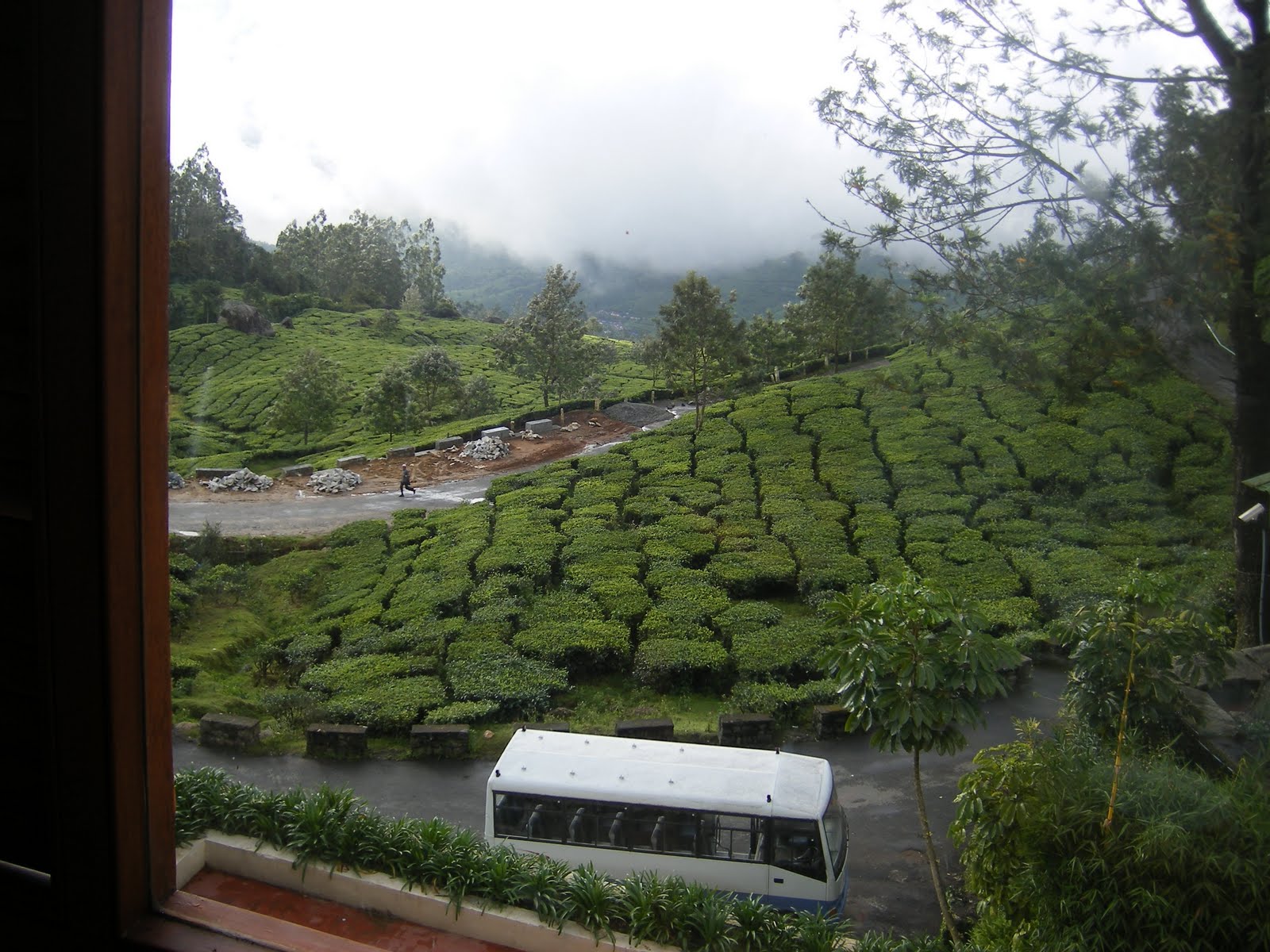 [Munnar-6.JPG]