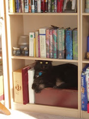 Malachi in the Bookcase