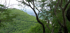 Colección Cerro San Bernardo de Paola Cuevas