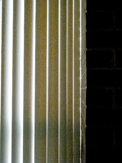 Digital Photography: Vertical