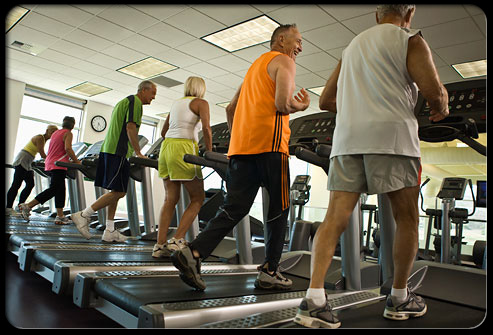 HealthHelperSolutions: Establishing Accountability